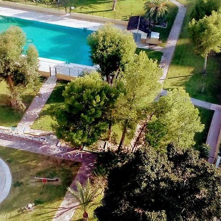 Apartamento "Solaz" 貝尼多姆 外观 照片
