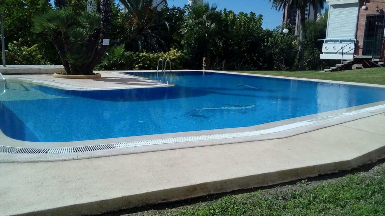 Apartamento "Solaz" 貝尼多姆 外观 照片