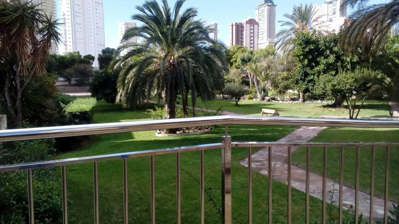 Apartamento "Solaz" 貝尼多姆 外观 照片